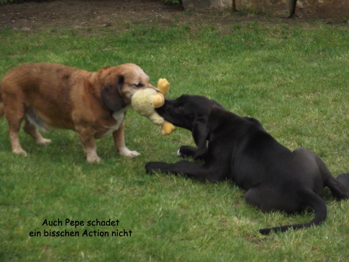 ...und so relaxen wir - ist doch eine Show!