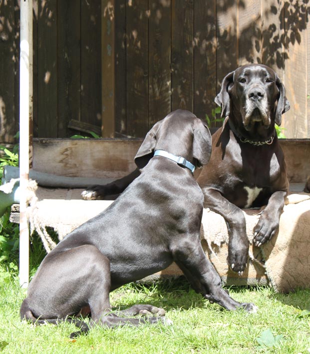 Huch...jetzt hab`ich mich vergaloppiert