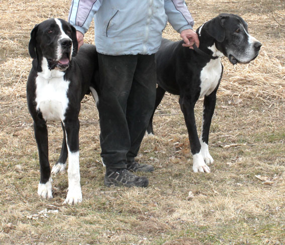 Mein Papa ist schon ganz sch&ouml;n grau, aber er ist ja auch fast 8 Jahre alt