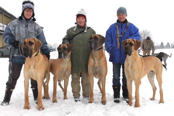 Capone, Qvinta, Aron, Chiron