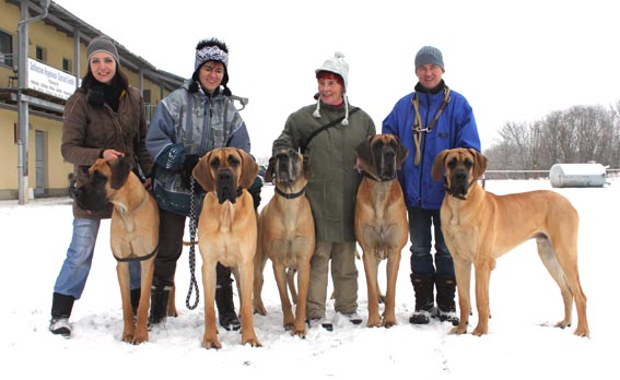 Chantal v.d.Hasselwiesen, Capone, Qvinta, Aron, Chiron