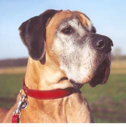 ...da bringt sie sich voll ein!