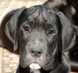 so goldig kann nur ich gucken