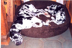 Xita ist fast wie eine Mama f&uuml;r mich!