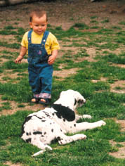 ..aber wenn er mich anspringt, gehe ich zu Boden!